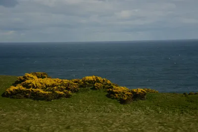 DSC_7262 (Large).JPG